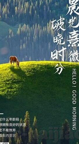 91视频麻豆在线观看-